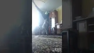 Заход на тікток мій