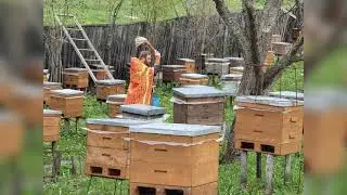 Можно ли молиться за домашних животных? Вопросы и ответы.