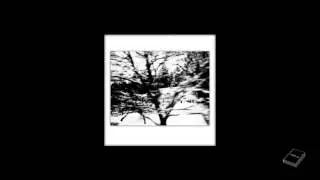 Broads - Paris Garters