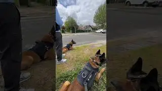Expérience avec 
