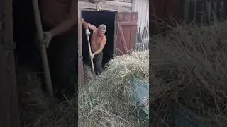 День- год кормит #деревня