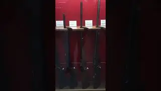 Что Лучше: CZ600 за 262900, CZ527 за 145500 или CZ557 varmint за 196500 ?