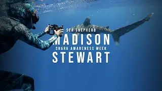 Madison Stewart - Shark Awareness Week