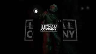 CHAOS COMPANY!!!