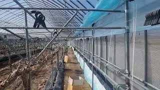 Zamonaviy issiqxonalarga ko‘rpa qilib berdik.