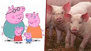 Peppa Pig Characters In Real Life New
