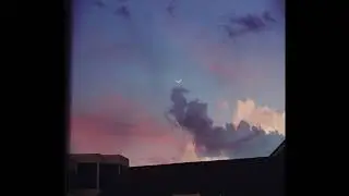 ✨free// renaissance // dream pop x indie/electro pop type beat 2020