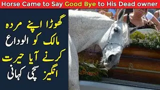 Horse Came to Say GoodBye To His Dead Owner || Ture Emotional Story That Made Everyone Cry