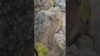 Мои эмоции с высоты птичьего полёта.