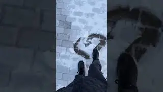 Снег, холод ! А вы любите Зиму? #снег