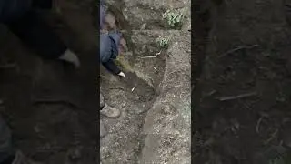 #пошукзагиблих