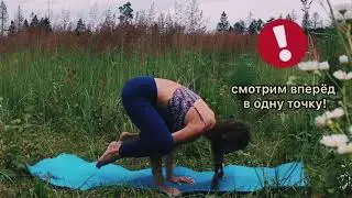 Занятие по Йоге от МБУ КДЦ "Октябрь", преподаватель ТабаковаЕ.П., "БАКАСАНА"
