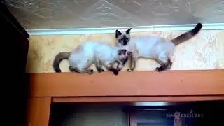 Одностороннее движение