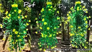 colgadera con botellas plastica, fácil y económica de hacer
