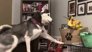Snoop STEALING!!