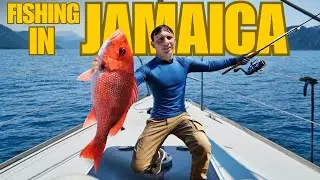EPIC Snapper Fishing In Jamaica!!!