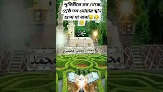 আল্লাহ কে খুসি করতে চাইলে মা বাবাকে ভালোবাসো