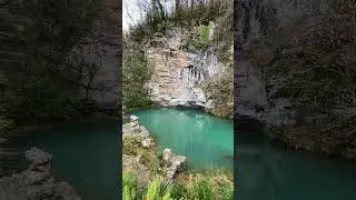 see the beauty of nature shorts #shoretvideo