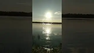 Золотая осень! 