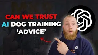 Can You Trust AI for Dog Training Advice? (We Tested It)