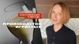 Классификация и методы производства игристых вин