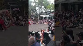 ada Naga di Ciwalk