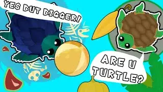 Mope.io | Fun moments with Ancient Tortoise and New Summer Glitch!!!