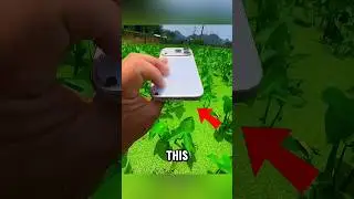 iPhone 17 Pro Max Camera Test 