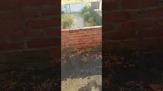 что еще для жизни надо