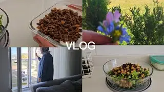 Breakfast in the Garden, Cleaning, Diet Meals