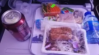 Flight report American Airlines|from Madrid to New York JFK |Boeing 777-200ER | Economy |trip to USA