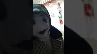 23 января 2020 г.