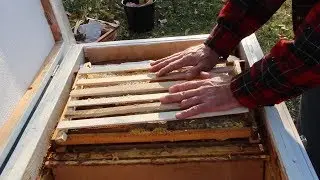 Final assembly of nests in winter | How to put a frame on top