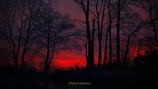 Druadan Forest - The shadowborn (Subtitulado en castellano)