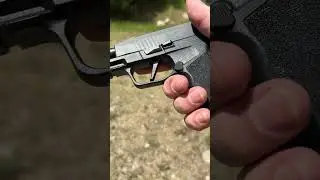 Are you a "COMP" or "NO COMP" person? (SIG SAUER P365 XMACRO COMP)