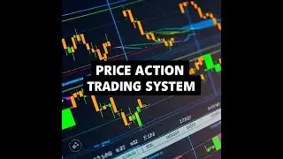 Using the Price Action Trading System