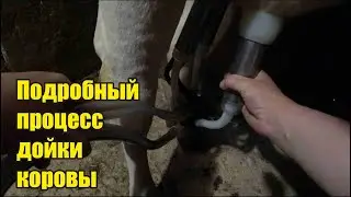 Взбили масло. Дойка коровы. Ледяной навоз. Лепёхи для рассады. Сноровка. Вольер для собаки.