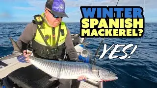 Spanish Mackerel Fishing In July? Yes you can!