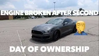 ARE MUSTANGS WORTH IT ?? | Worst Ownership Experience
