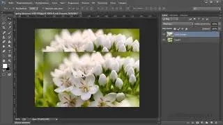 Работа с фотошопом — линейики и направляющие. Читать описание.
