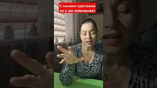 8 сентября 2024 г.