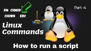 Linux Command Basics: Changing Permissions, Ownership, and Running Scripts | Malayalam Tutorial