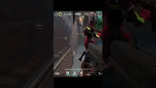 Random neon movement goes wild