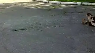 После драки