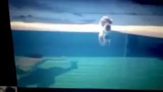 Who says cats don't like water