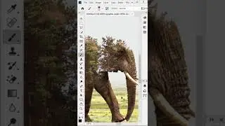 Double Exposure Effect….Full video in profile videos…Manjeet Singh #firelioncreations