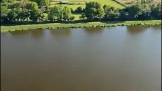 Searching For Gators - Live!