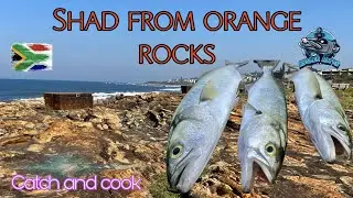 Fishing for Shad at Orange Rocks , KZN  South Coast - Catch and Cook