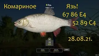 рр4! Комариное Язь на двух точках!