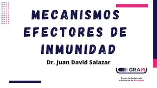 Mecanismos Efectores de la Inmunidad